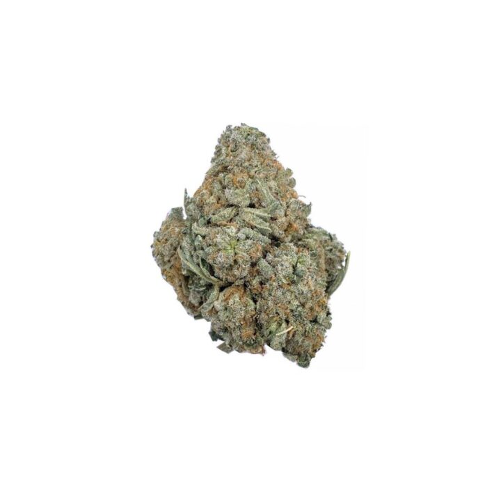 blue mimosa