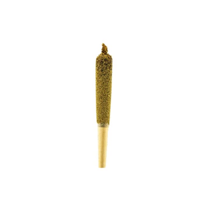 dog-walker-kief-1.jpg