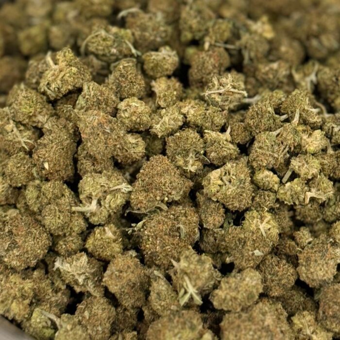 donkey (2) donkey (2)