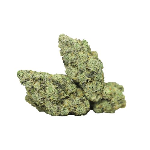 Blackout Bobby (AAAA-)