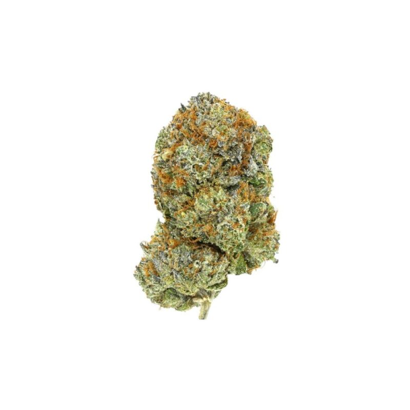 Honey Bun (AAA+)
