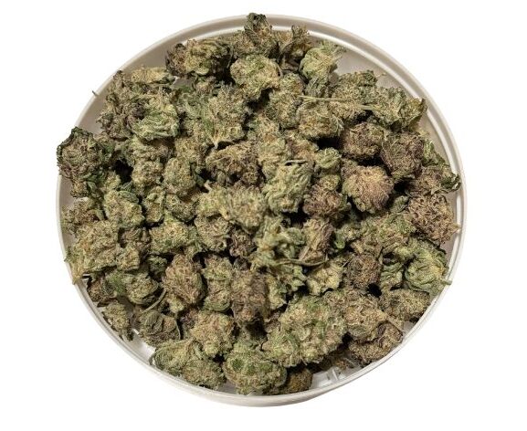 Miracle Glue Smalls (AAA+)