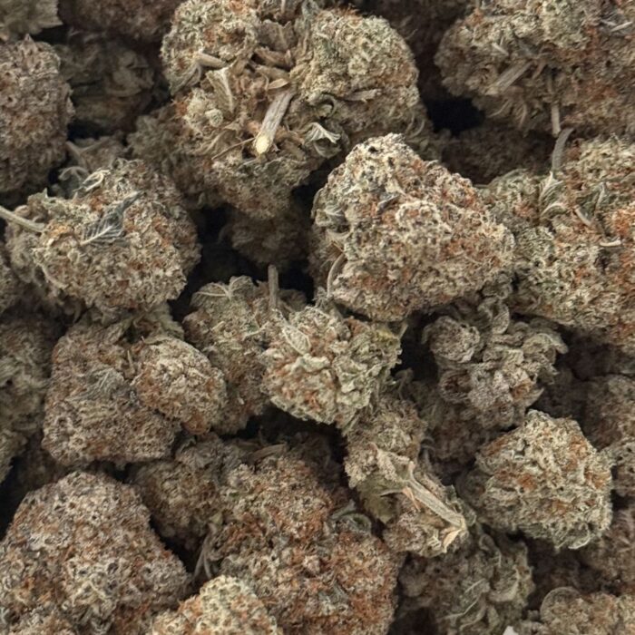 skittlez 120 skittlez 120