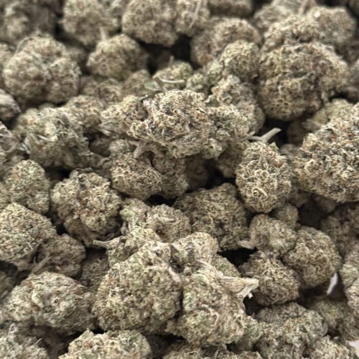 sticky 100 sticky 100